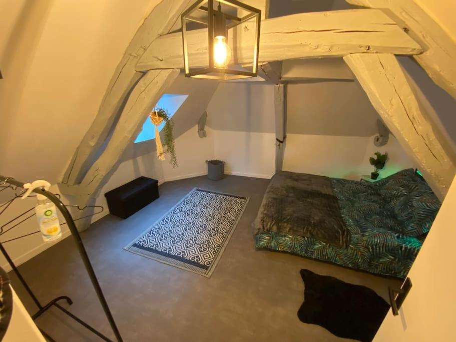 Super Appartement T3 Proche Gare Sens Εξωτερικό φωτογραφία
